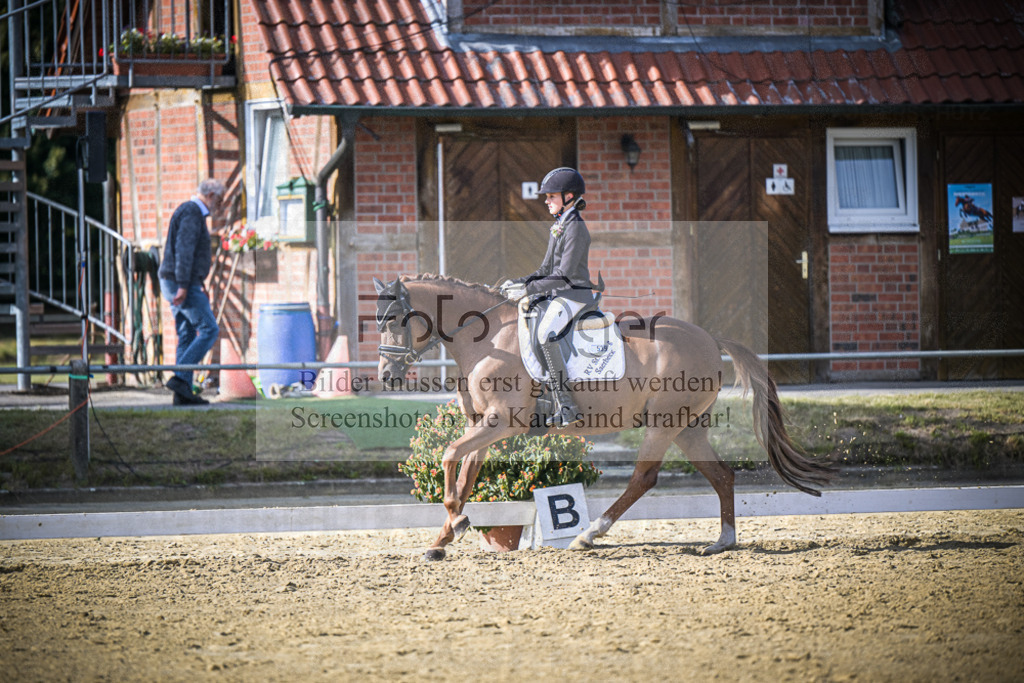 DOS_0453 | Entdecke hochwertige Reitturnierfotos von Foto Oger. Professionell, emotional und authentisch – jetzt Lieblingsmomente im Shop bestellen.Deutschlandweite Turnierfotografie. - Realisiert mit Pictrs.com