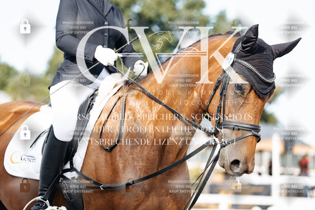CK904974 | Turnierfotografie Pferdefotografie Trier Rheinland-Pfalz Pferdesport Reitsport Tierfotografie Sportfotografie Pferdevideo Pferdevideografie Equestrianvideography equestrianphotography  - Realisiert mit Pictrs.com