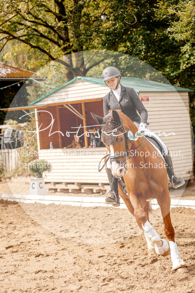 3I6A7657 | Stimmungsvolle Portraits und Reitsportfotografie im Ruhrgebiet und im Münsterland.

Pferdefotografie, Hundefotografie, Tierfotografie, Reportagen, Portraits von Tier und Mensch, Turnierfotografie in Bochum, Recklinghausen, Marl, Haltern am See, Dülmen.. - Realisiert mit Pictrs.com