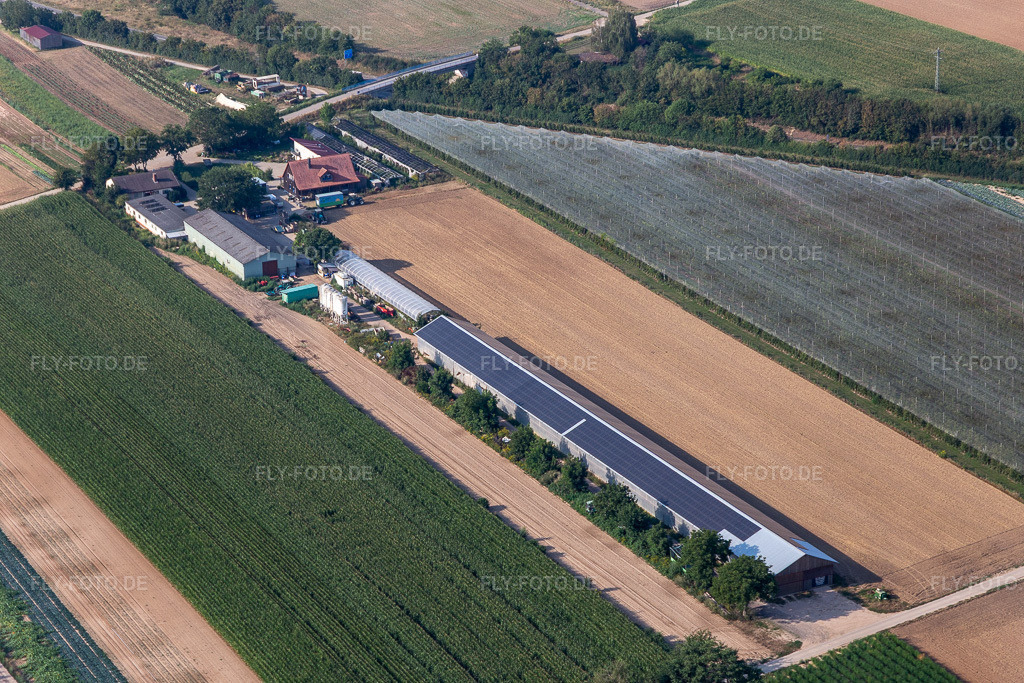 Luftbild: Hollerbühler Hof in Kandel im Bundesland Rheinland-Pfalz in Deutschland. Foto: IMG_122219.jpg vom 11.08.2020 durch Werner Riehm/FLY-FOTO.de