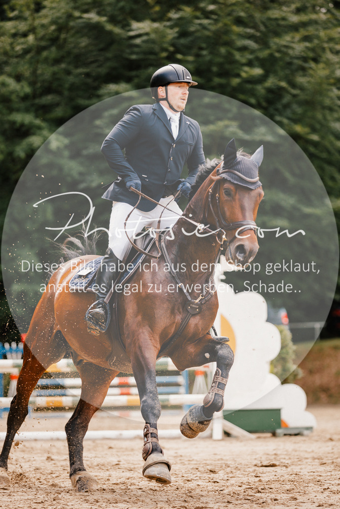 3I6A2408 | Stimmungsvolle Portraits und Reitsportfotografie im Ruhrgebiet und im Münsterland.

Pferdefotografie, Hundefotografie, Tierfotografie, Reportagen, Portraits von Tier und Mensch, Turnierfotografie in Bochum, Recklinghausen, Marl, Haltern am See, Dülmen.. - Realisiert mit Pictrs.com