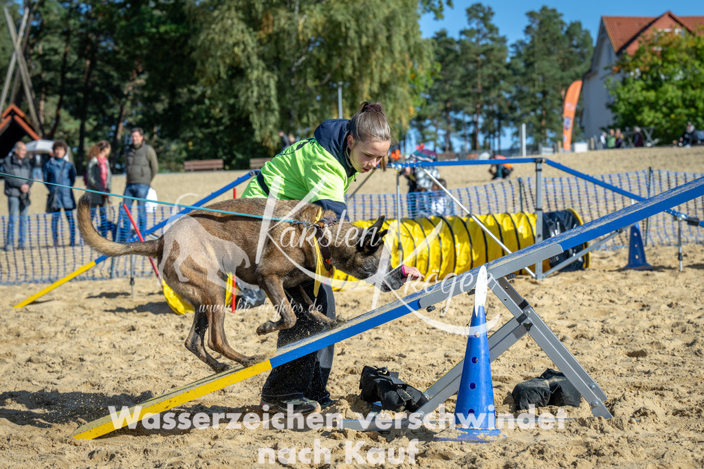 1135_ZZ91550 | kk-dogfotos