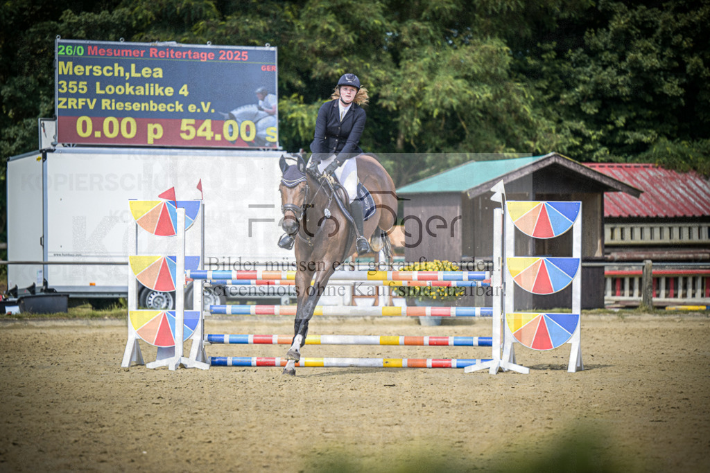 DOS_6112 | Entdecke hochwertige Reitturnierfotos von Foto Oger. Professionell, emotional und authentisch – jetzt Lieblingsmomente im Shop bestellen.Deutschlandweite Turnierfotografie. - Realisiert mit Pictrs.com