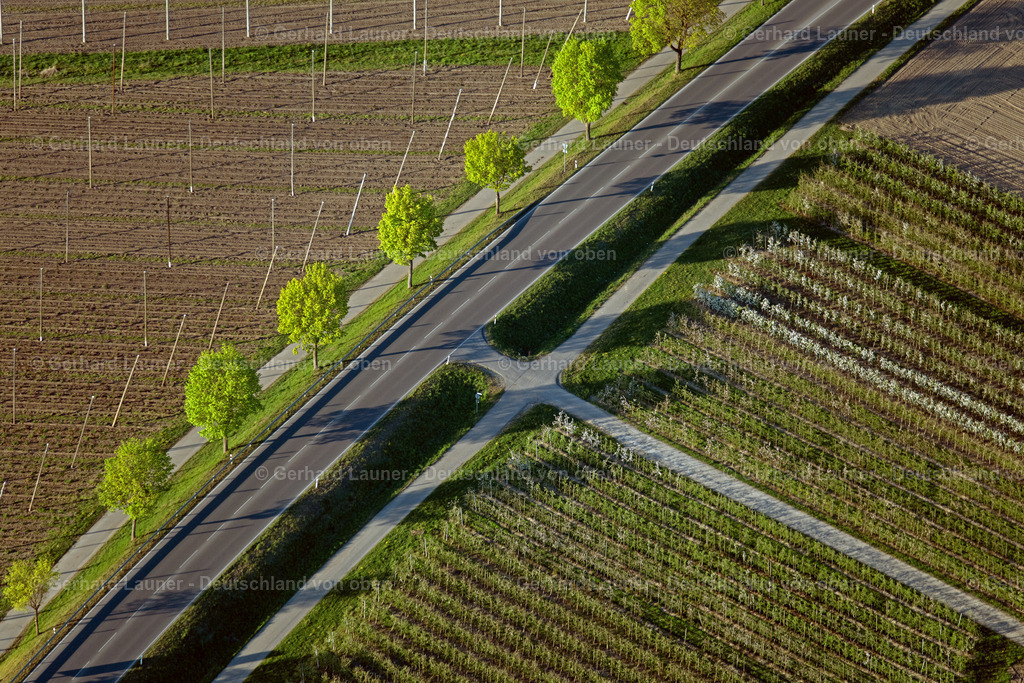 4024584 | Baumallee bei MeckenbeurenFRIEDRICHSHAFEN 15.04.2020 Landschaft vorwiegend landwirtschaftlich genutzte Felder mit angrenzenden Wald- und Forstflächen bei Ailingen in Friedrichshafen im Bundesland Baden-Württemberg, Deutschland. // Agricultural fields with adjacent forest and forest areas bei Ailingen in Friedrichshafen in the state Baden-Wuerttemberg, Germany. Foto: Gerhard Launer