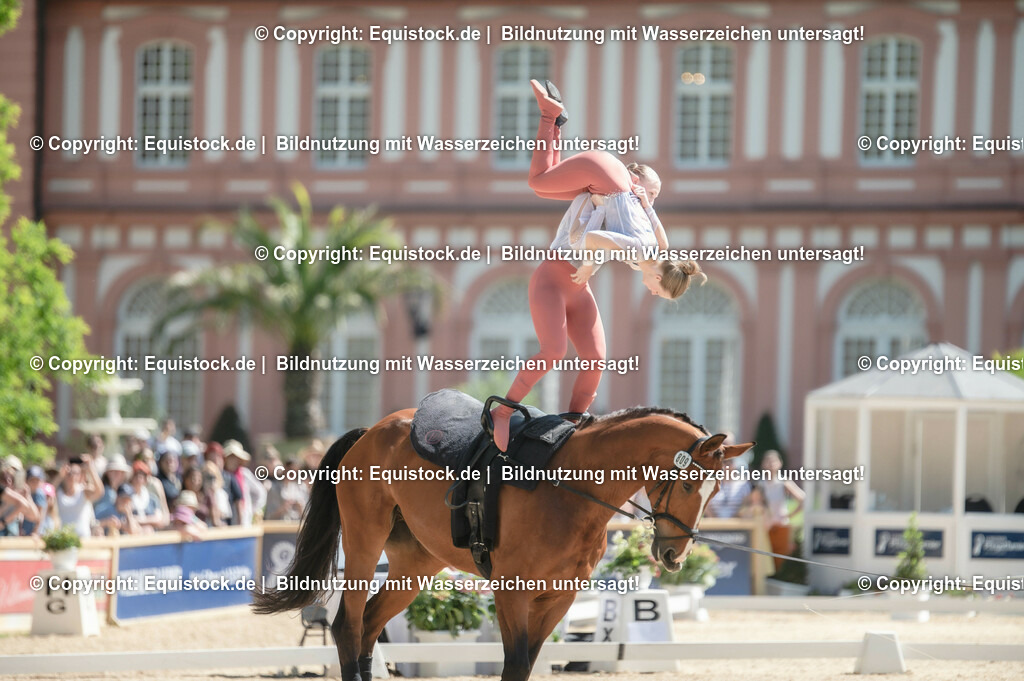 20230528_Voltigieren_NASPA_0414 | equistock