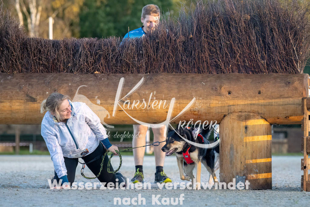 0831-00030 | kk-dogfotos