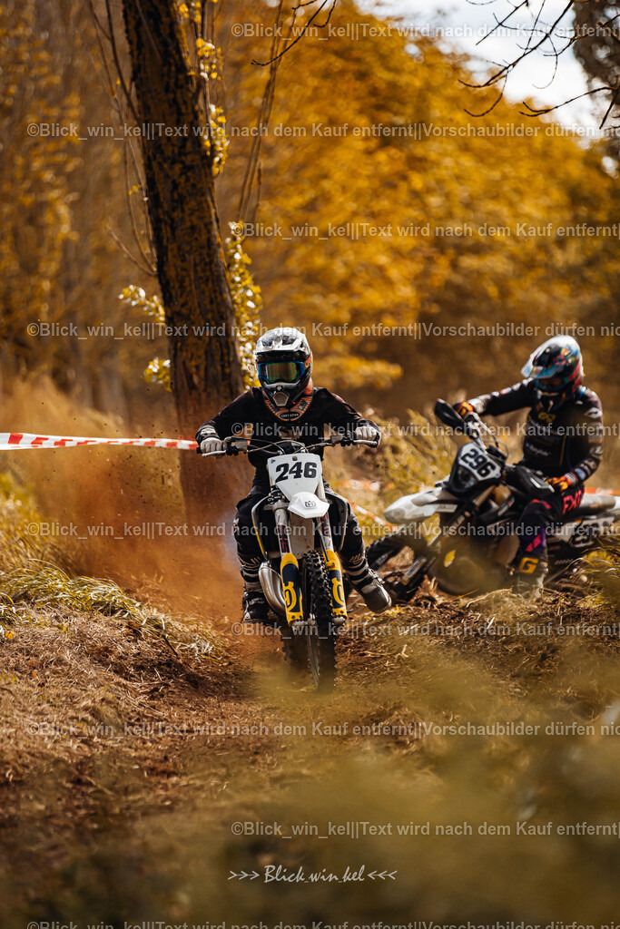 E68A2288 | blick_win_kel