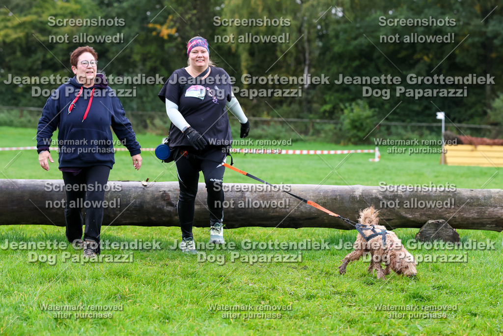 Dog Paparazzi -  SD1026-964 | Dog Paparazzi Jeanette Grottendiek Fotografie & Videografie - Realisiert mit Pictrs.com