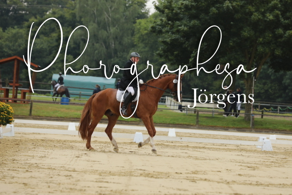 IMG_5103 | photographesa-joergens - Realisiert mit Pictrs.com