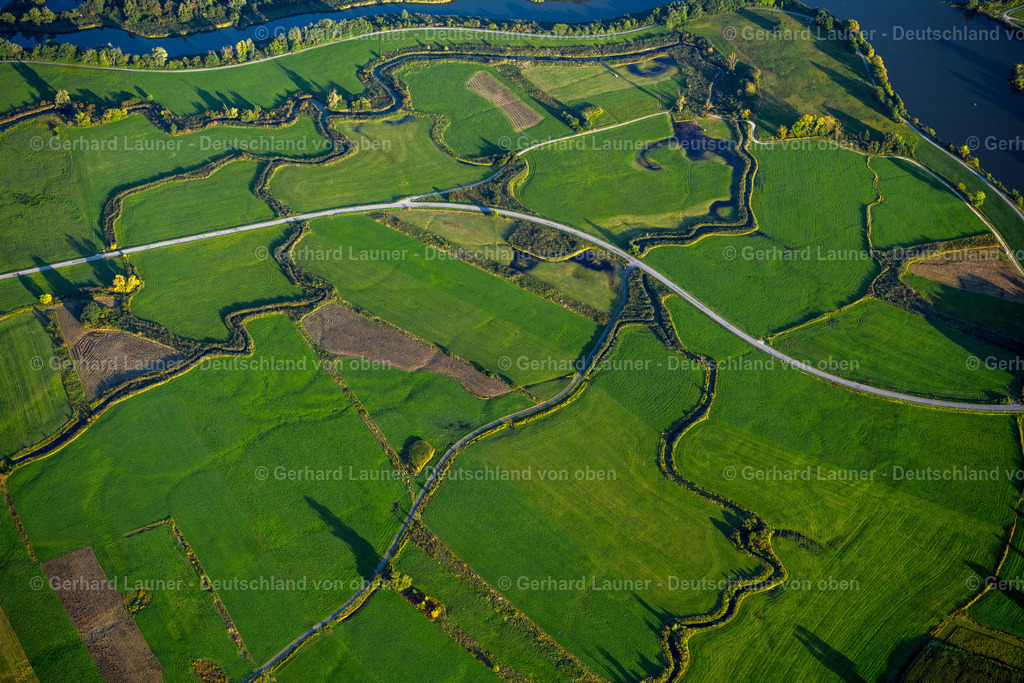 4051060 | MUHR AM SEE 03.09.2021 Uferbereiche der See- Insel und Vogelfreistätte Flachwasser- und Inselzone im " Altmühlsee " in Muhr am See im Bundesland Bayern, Deutschland. Weiterführende Informationen bei: NABU - Naturschutzbund Deutschland e.V.. // Lake Island " Altmuehlsee " in Muhr am See in the state Bavaria, Germany. Further information at: NABU - Naturschutzbund Deutschland e.V.. Foto: Gerhard Launer