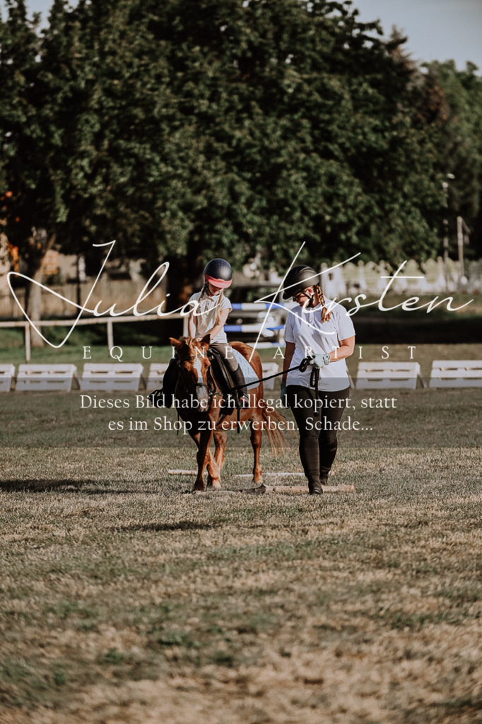 DSC_0155 | Pferde- und Turnierfotografie in Westsachsen. Pferdeportraits, Auftragszeichnungen und intuitive Kunst.