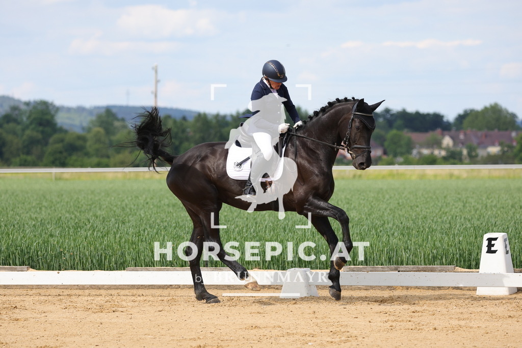 0P6A9098 | Willkommen bei Brunnmayr - Design & Fotografie – Ihrem Spezialisten für Reitturniere und Pferdeveranstaltungen in Oberösterreich, Salzburg und Bayern! Seit über 17 Jahren sind wir leidenschaftlich dabei.