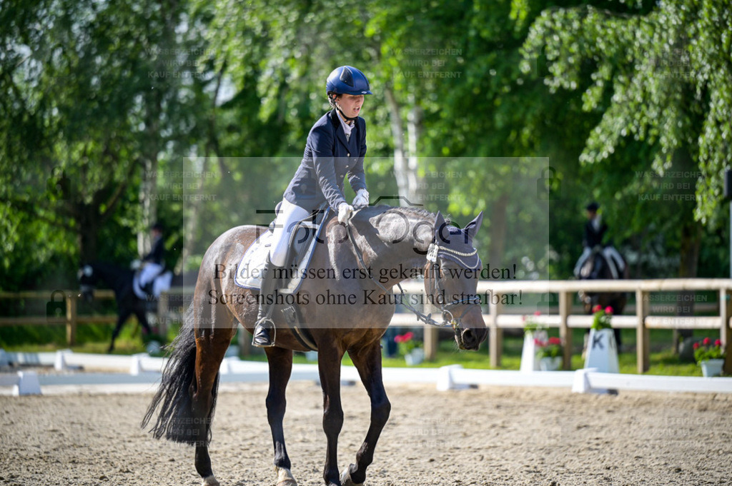 Reitturnier Lienen | Entdecke hochwertige Reitturnierfotos von Foto Oger. Professionell, emotional und authentisch – jetzt Lieblingsmomente im Shop bestellen. - Realisiert mit Pictrs.com