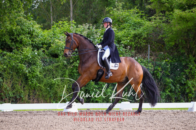 DKP41705 | Turnierfotos kaufen im Webshop von Daniel Kuhl Photography – entdecke professionelle Reitsportfotos aus Turnieren & Events. Hochwertige Turnierbilder online bestellen & sichern. Jetzt Fotos von Reitsportturnieren kaufen!