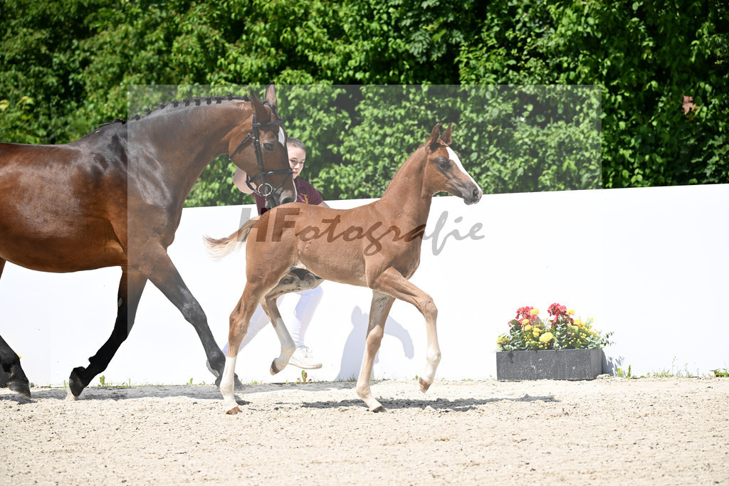 Untouchable x Contender_HF_Weber_13251266 | hf-fotografie - Realizzato con Pictrs.com