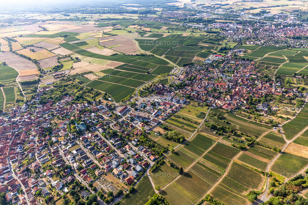 Luftbild: Winzerorte von Norden im Ortsteil Schweigen in Schweigen-Rechtenbach im Bundesland Rheinland-Pfalz in Deutschland. Foto: IMG_134265.jpg vom 29.08.2022 durch Werner Riehm/FLY-FOTO.deGemeinde Schweigen-Rechtenbach