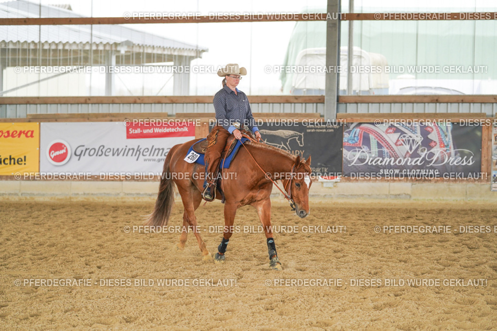 DSC05510 | Pferdegrafie