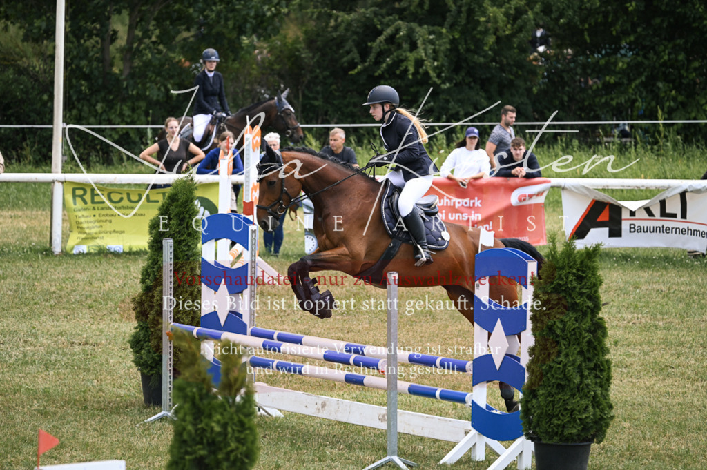 DSC_9442 | Pferde- und Turnierfotografie in Westsachsen. Pferdeportraits, Auftragszeichnungen und intuitive Kunst.