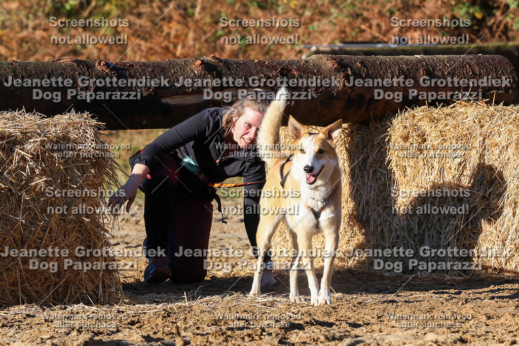 Dog Paparazzi - Strongdog 10-25-1314 | Dog Paparazzi Jeanette Grottendiek Fotografie & Videografie - Realisiert mit Pictrs.com