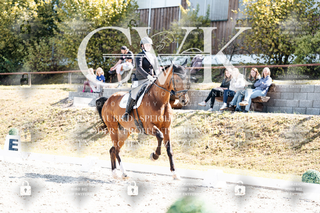 CK903238 | Turnierfotografie Pferdefotografie Trier Rheinland-Pfalz Pferdesport Reitsport Tierfotografie Sportfotografie Pferdevideo Pferdevideografie Equestrianvideography equestrianphotography  - Realisiert mit Pictrs.com
