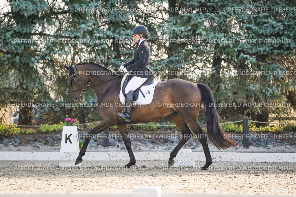 DSC08189 | Pferdegrafie