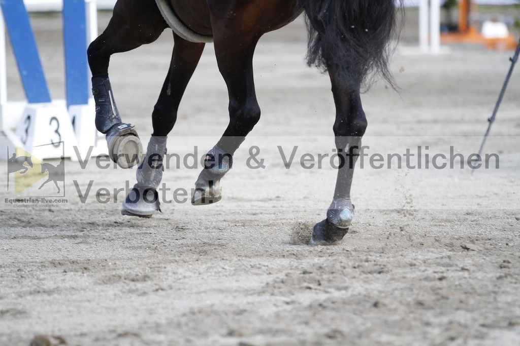 _MG_1172 | equestrian-live-com