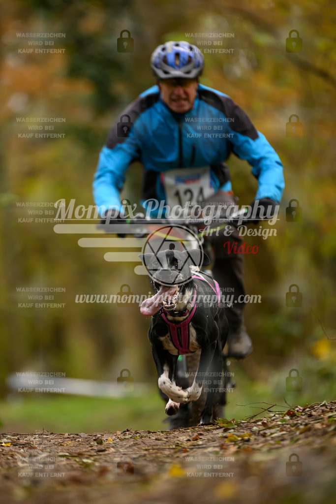MompixPhotography_Bischwiller24_SA_VTT-50 | PayLife