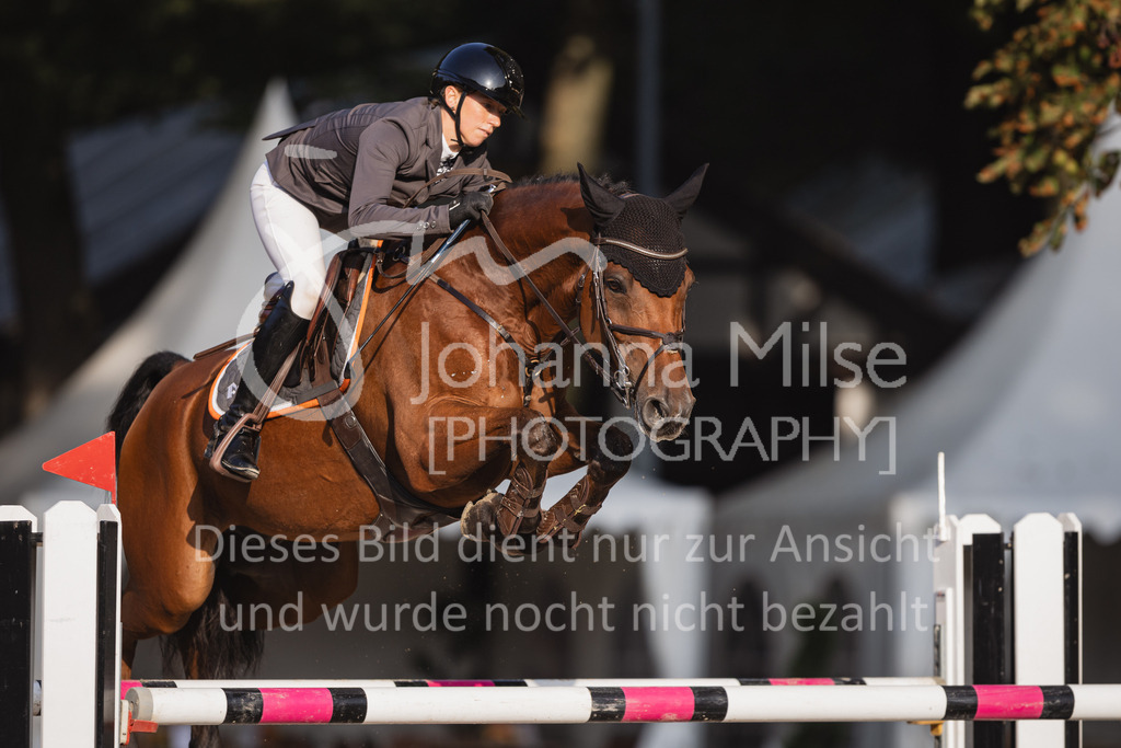230910_OWLCh_Youngster8y-804 | Deine schönsten Turniermomente als professionelle Fotos! Entdecke hochwertige Pferdesport-Fotografie im Online-Shop. Jetzt Fotos finden & bestellen!