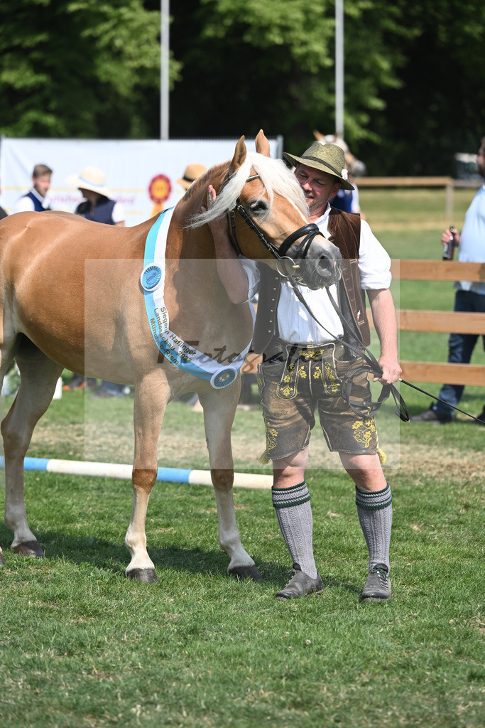 Kat-Nr. 9 Giorgia G_Grandauer_20231502 | hf-fotografie - Realisiert mit Pictrs.com