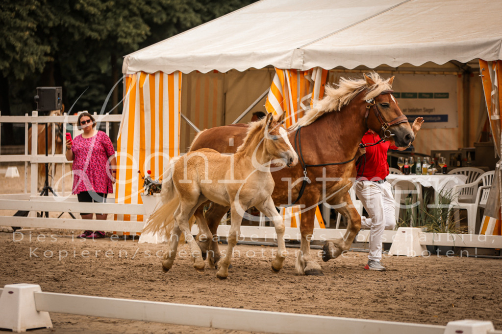 SaHF00033 | Leoni Ertmer Photography - Realisiert mit Pictrs.com