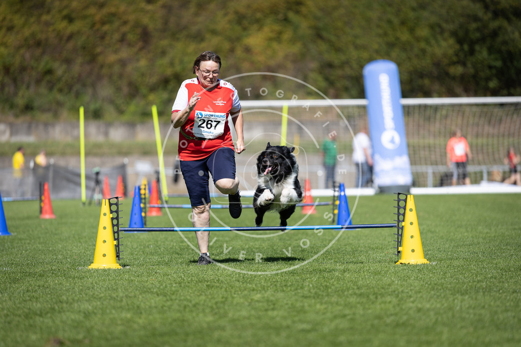 Pfotenfotografie_DV3A6723 | Hundefotografie, Tierfotograf, Pfotenfotografie, Fotoshooting Hund, Hunde Portrait, Hundesport, Hundeportraits, Heideshooting, Hunde, Sportfotograf, Hundefotograf, Turnierhundsport, THS,  - Realisiert mit Pictrs.com
