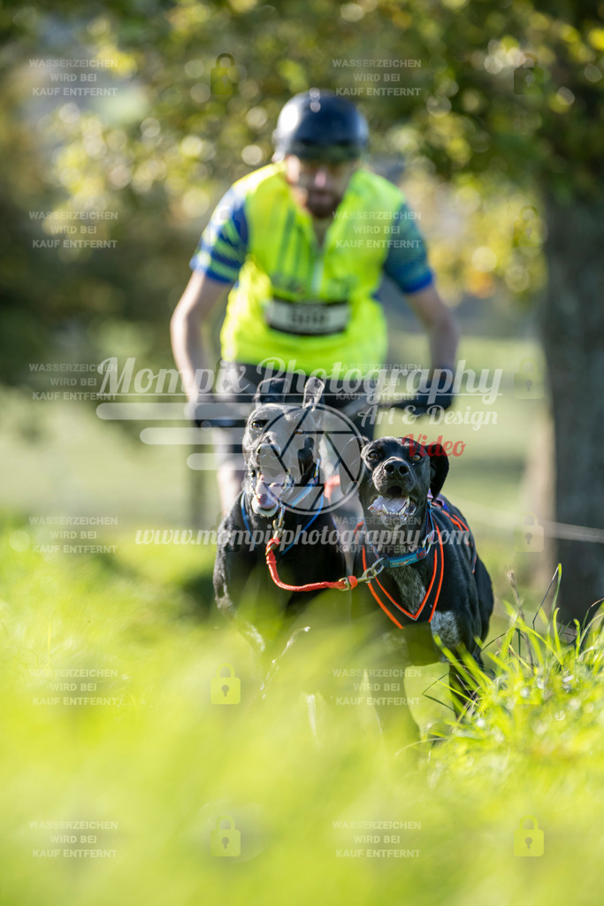 MompixPhotography_20TSB_E3_DS2-9 | PayLife