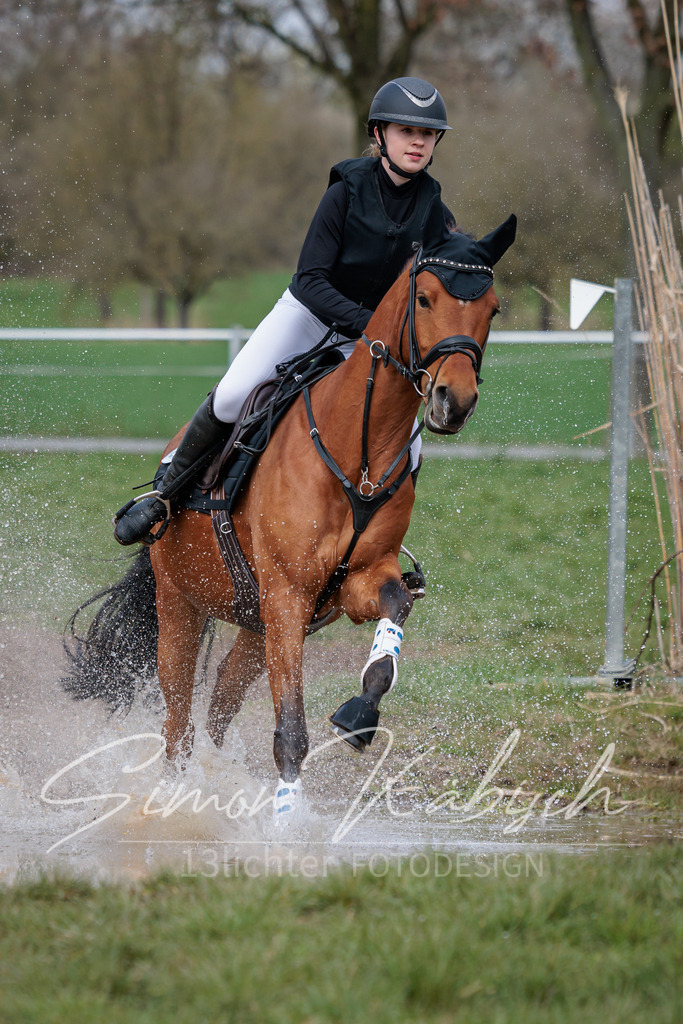 20260329-_3LI4658 | Tierfotografie Pferde, Hunde, Katzen, Haustiere.
Turnierfotografie Reitturniere, Reiten, Springreiten, Dressur in Hanau, dem Main-Kinzig-Kreis und dem Rhein-Main- Gebiet um Frankfurt