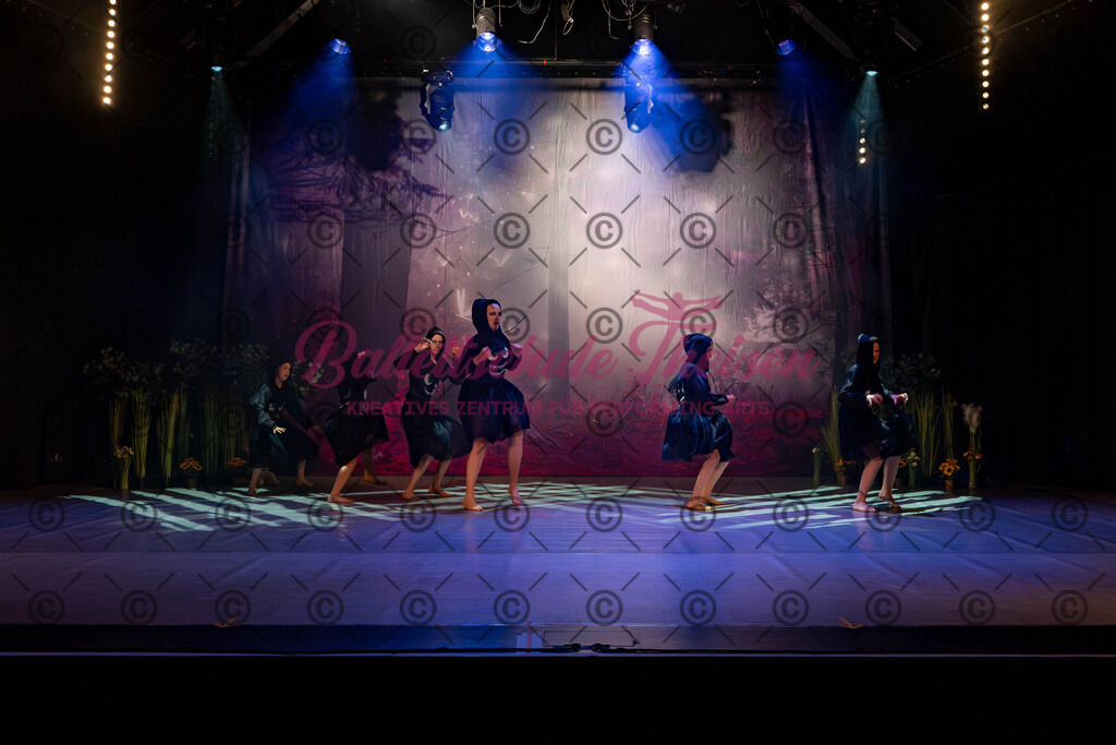 Ballettaufführung-108 | Bildershop Lem'n Entertainment - Realisiert mit Pictrs.com