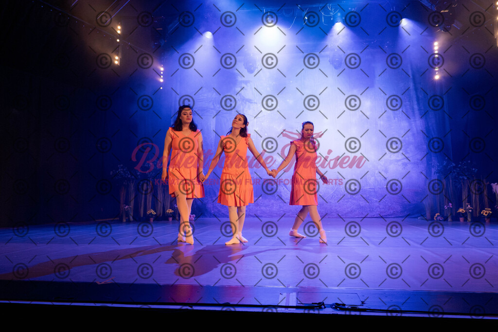 Ballettaufführung-1065 | Bildershop Lem'n Entertainment - Realisiert mit Pictrs.com