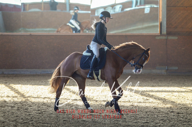 DKP42156 | Turniersportfotografie; Pferdefotografie; Dressurfotografie