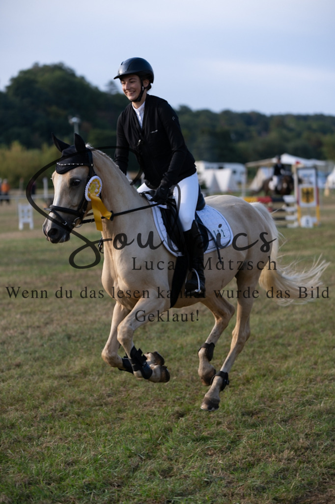 A7V08023 | Turnier/Reitfotograf