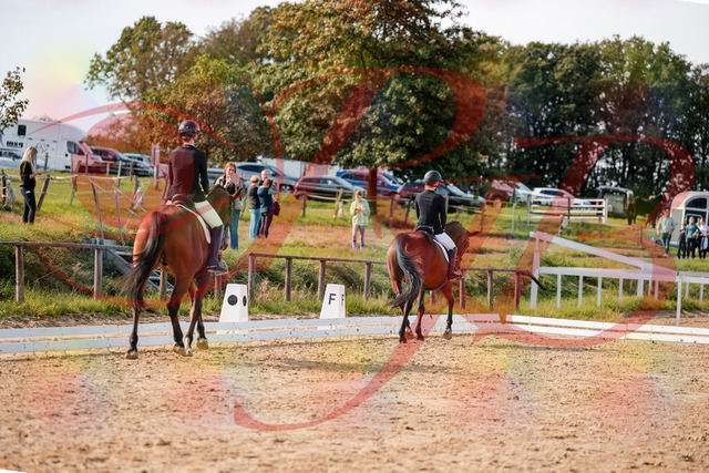 2026_10_03_Siefer-Hof_130947_Z63_71679423 | Professionelle Reitsport-, Turnier- und Eventfotografie von Robert Broda. Galerien mit ausgewählten und bearbeiteten Bildern direkt online ansehen und bestellen.