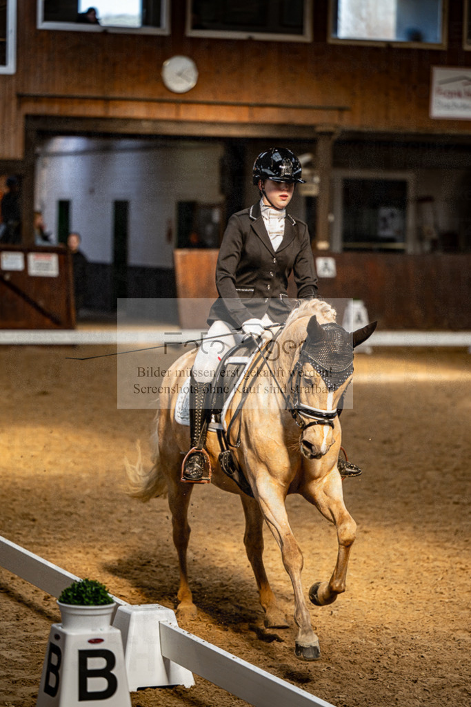 20240310-DOS_0934 | Entdecke hochwertige Reitturnierfotos von Foto Oger. Professionell, emotional und authentisch – jetzt Lieblingsmomente im Shop bestellen.Deutschlandweite Turnierfotografie. - Realisiert mit Pictrs.com