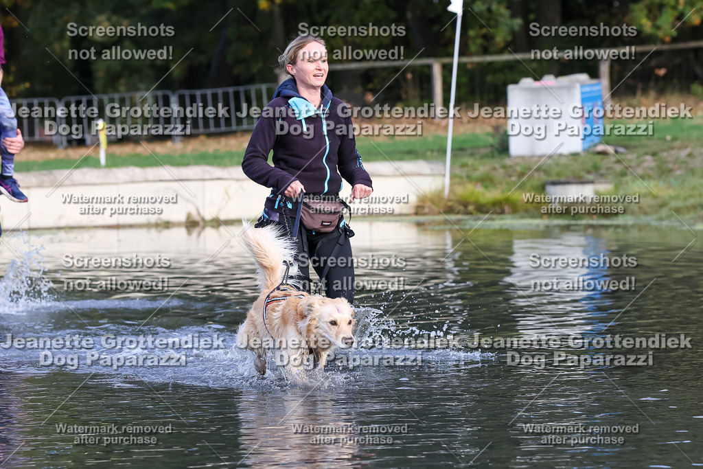 Dog Paparazzi - Strongdog 10-25-8288 | Dog Paparazzi Jeanette Grottendiek Fotografie & Videografie - Realisiert mit Pictrs.com