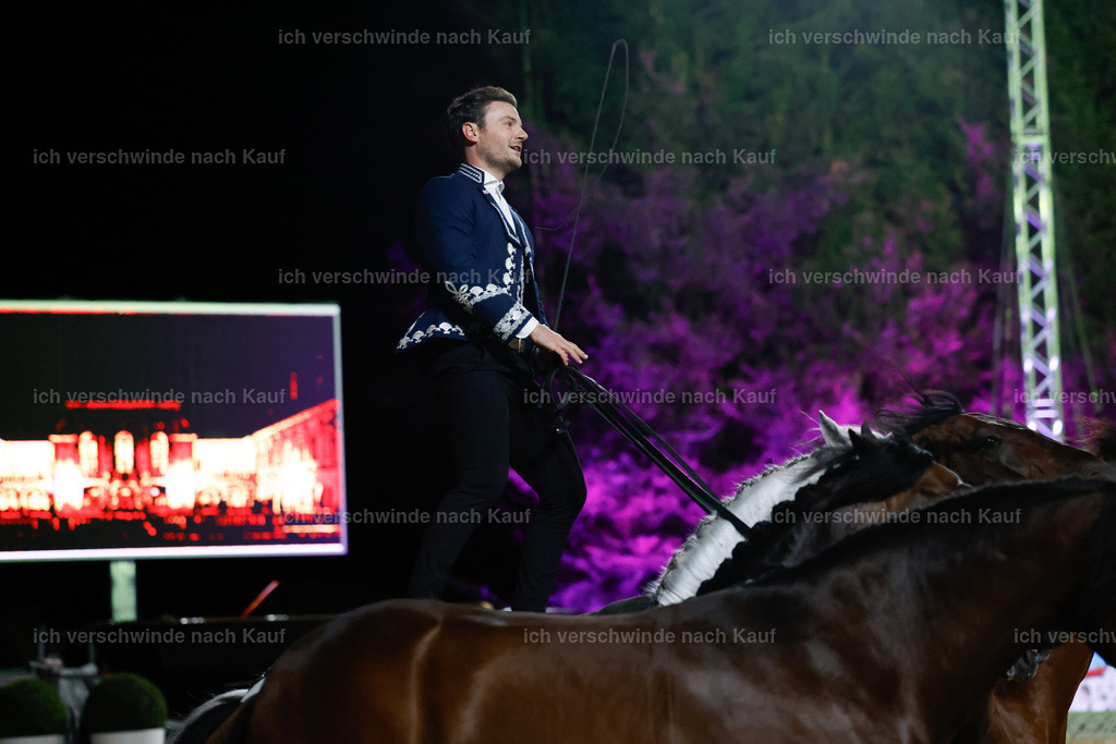 FHClassics-397 | working equitationturnier fotograf videograf stoibphotography marixx film working equitation deutschland reitsport turnierfotografie eventfotografie equestrian events