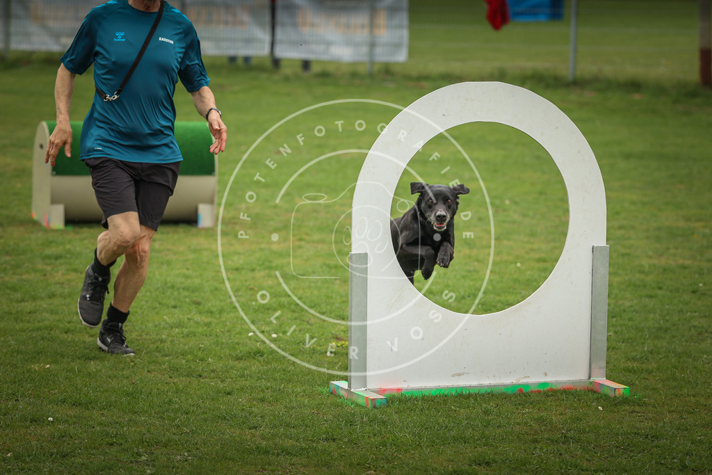 Pfotenfotografie_0L8A1535 | Hundefotografie, Tierfotograf, Pfotenfotografie, Fotoshooting Hund, Hunde Portrait, Hundesport, Hundeportraits, Heideshooting, Hunde, Sportfotograf, Hundefotograf, Turnierhundsport, THS,  - Realisiert mit Pictrs.com