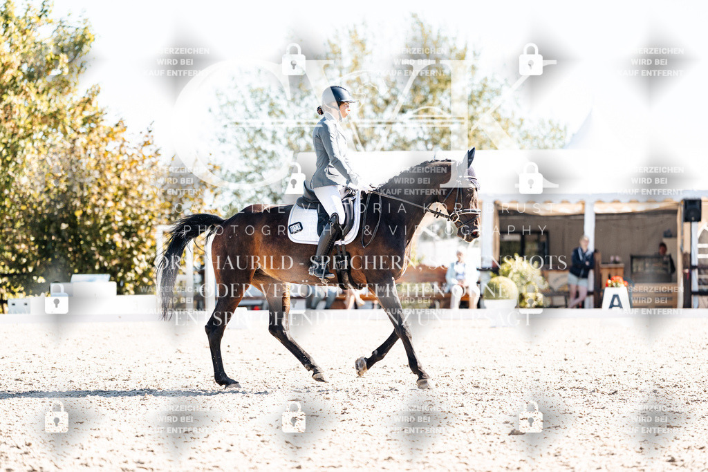 CK908833 | Turnierfotografie Pferdefotografie Trier Rheinland-Pfalz Pferdesport Reitsport Tierfotografie Sportfotografie Pferdevideo Pferdevideografie Equestrianvideography equestrianphotography  - Realisiert mit Pictrs.com