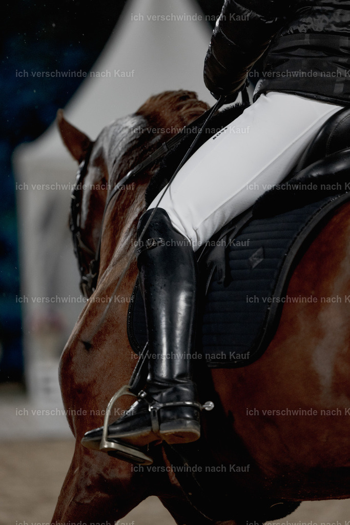 FHClassics-20 | working equitationturnier fotograf videograf stoibphotography marixx film working equitation deutschland reitsport turnierfotografie eventfotografie equestrian events