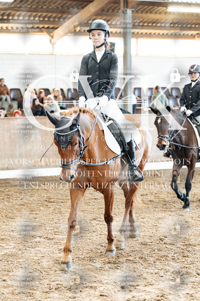 CK900370 | Turnierfotografie Pferdefotografie Trier Rheinland-Pfalz Pferdesport Reitsport Tierfotografie Sportfotografie Pferdevideo Pferdevideografie Equestrianvideography equestrianphotography  - Realisiert mit Pictrs.com