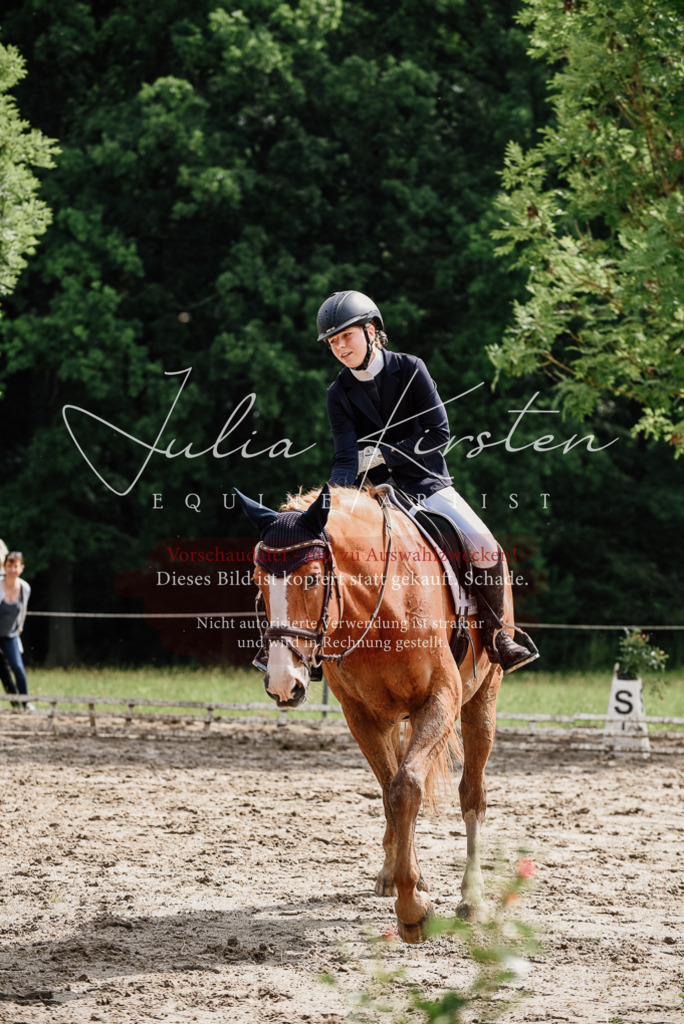 DSC_0055 | Pferde- und Turnierfotografie in Westsachsen. Pferdeportraits, Auftragszeichnungen und intuitive Kunst.