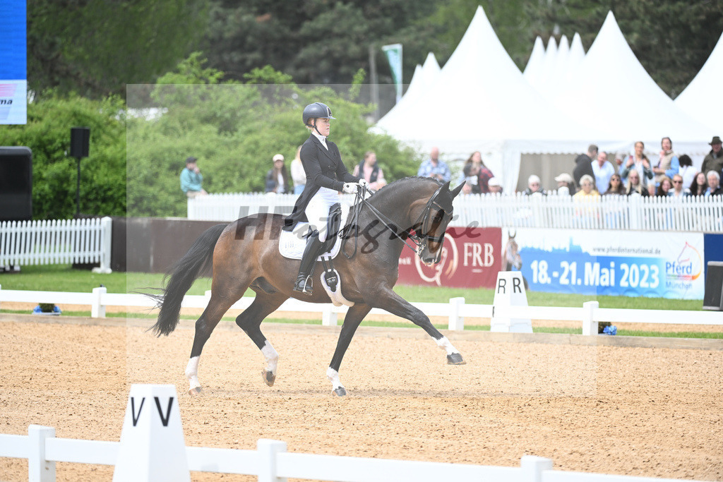 Mueller_Fats Domino_11233437 | hf-fotografie - Realisiert mit Pictrs.com