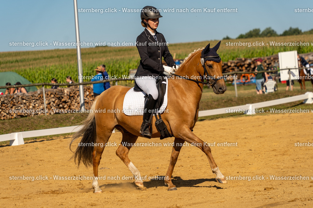 2026-08-09_08-22-59_WBO_Pulsnitz | sternberg.click - Realisiert mit Pictrs.com
