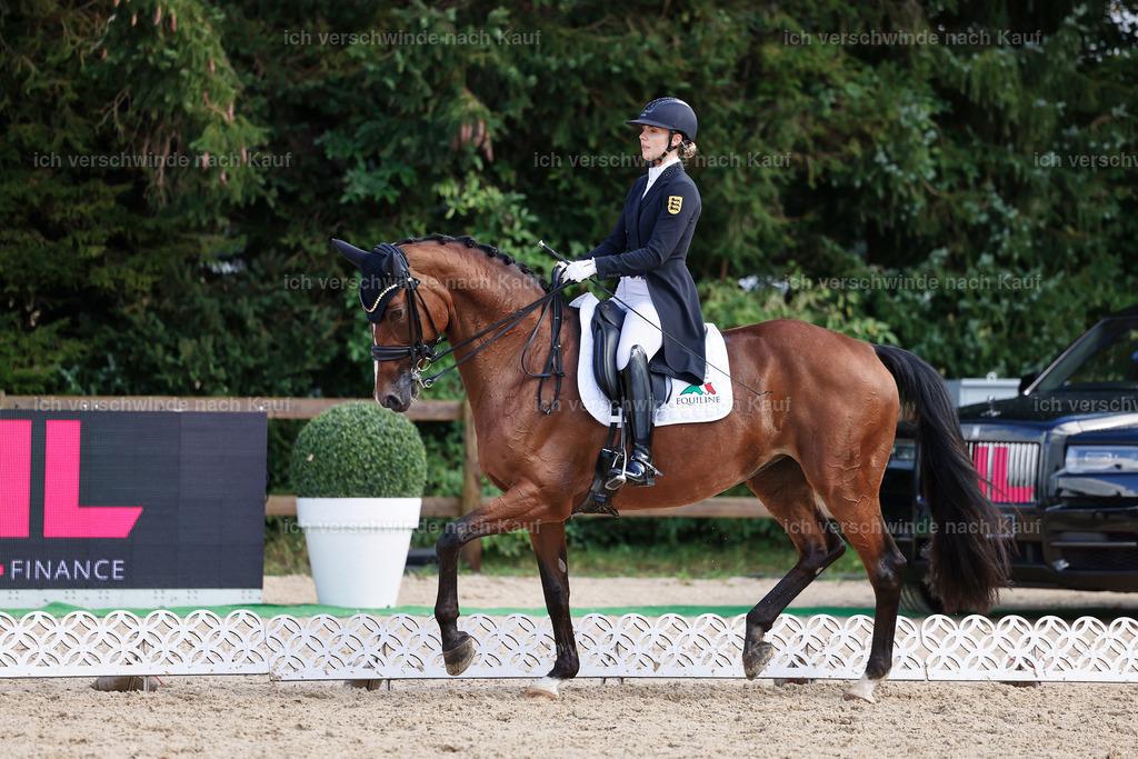 07-003-DRESSUR  S___  -StoibPH-5069 | working equitationturnier fotograf videograf stoibphotography marixx film working equitation deutschland reitsport turnierfotografie eventfotografie equestrian events