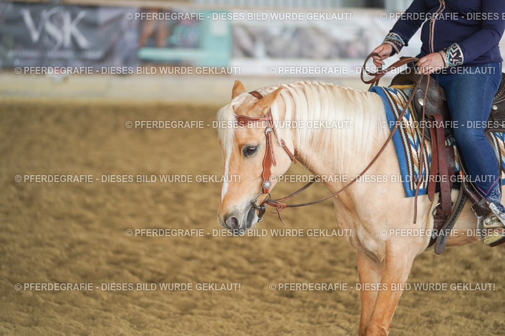 DSC06364 | Pferdegrafie